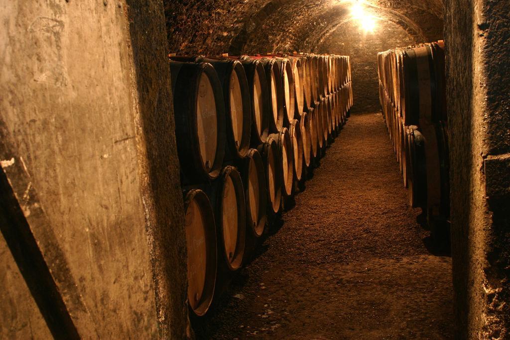 Maison D'Hotes Chandon De Briailles Savigny-lès-Beaune 외부 사진